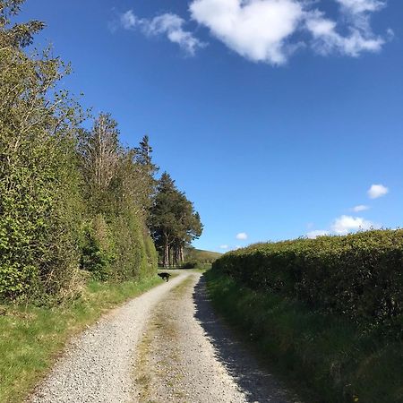 Chic Cottage Near Elan Valley And Builth Wells Llanwrthwl Bagian luar foto