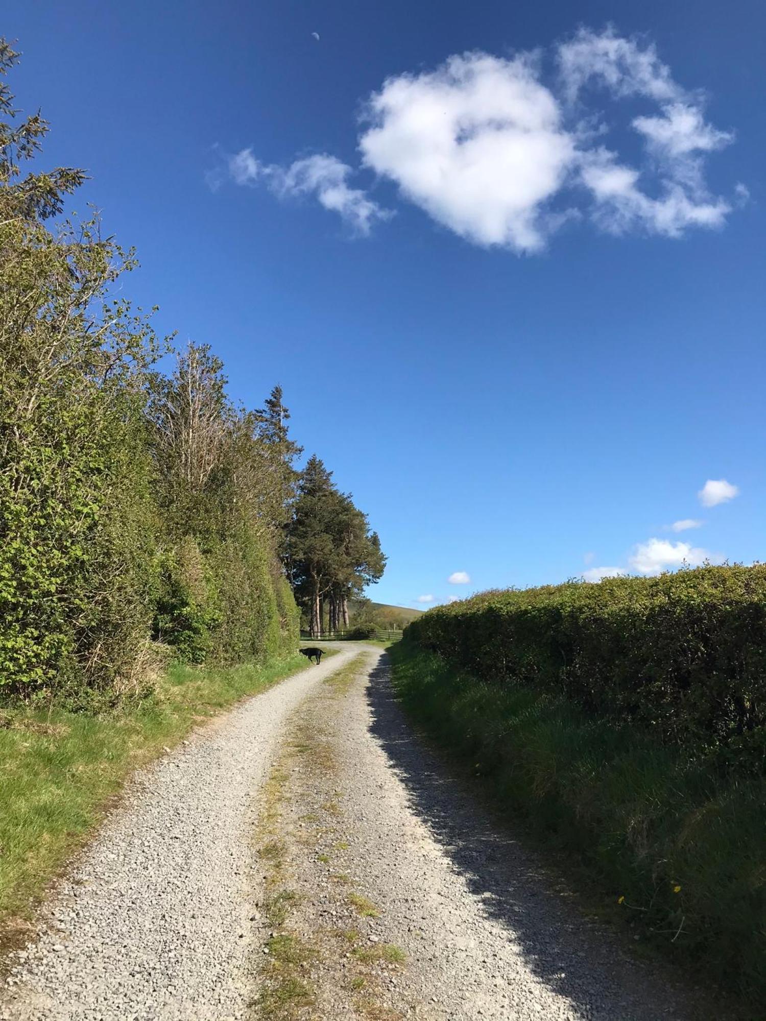 Chic Cottage Near Elan Valley And Builth Wells Llanwrthwl Bagian luar foto